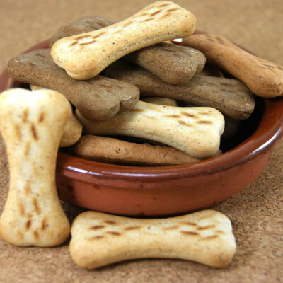 Healthy Tips for Enhancing a Dog’s Diet