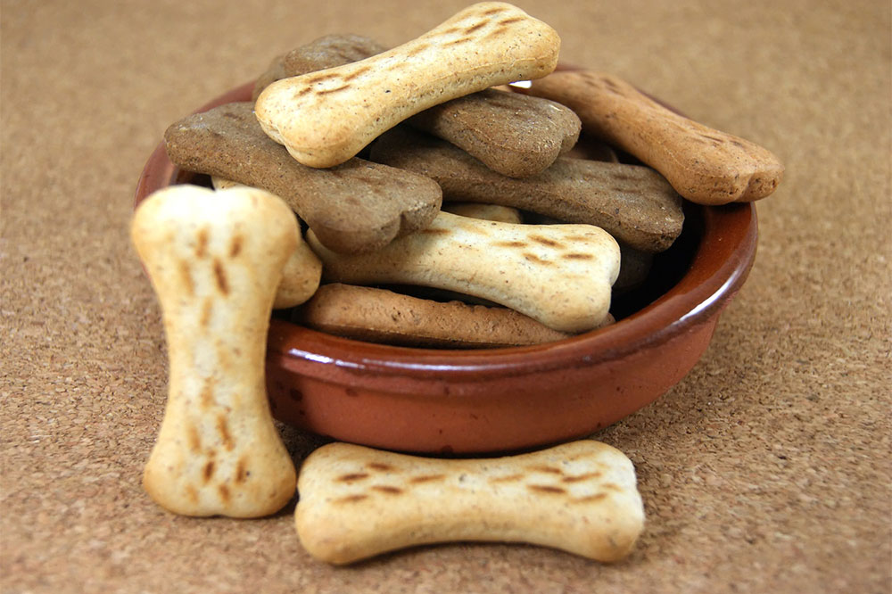 Healthy Tips for Enhancing a Dog’s Diet