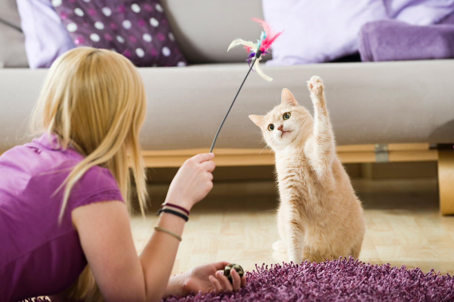 Plants That Pose a Threat to Cats